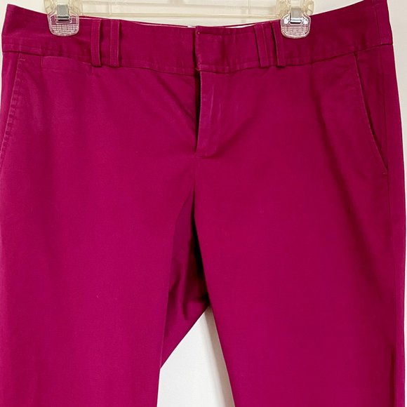 Banana Republic Capri pants size 10 - Picture 1 of 6